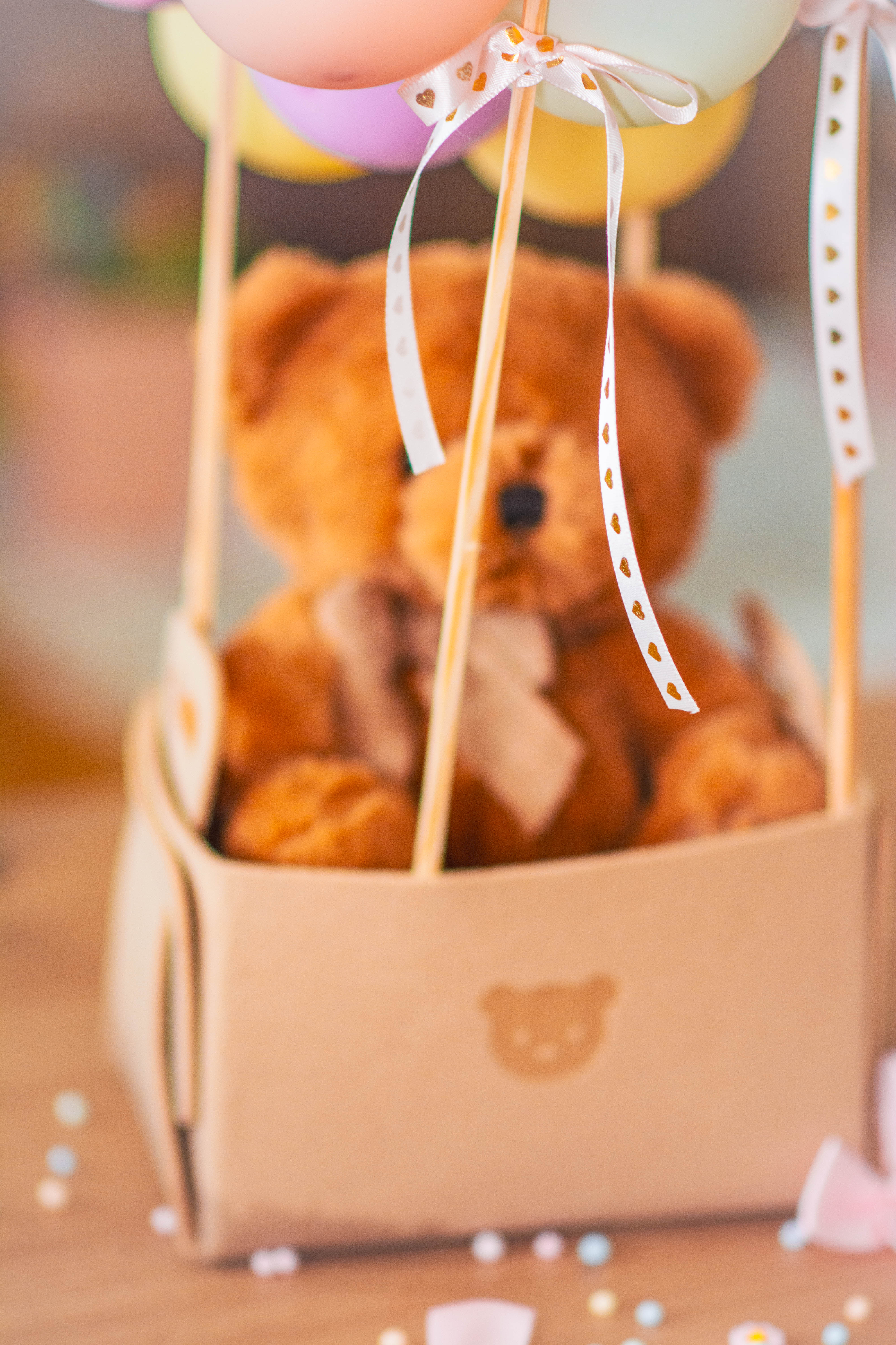 Teddy Set - BALLON ATELIER